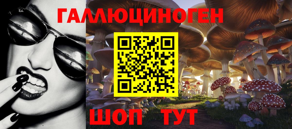 Сланцы  Галлюциногенные грибы MAGIC MUSHROOMS  Вход с VPN 